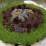 Garden succulents in pots 1