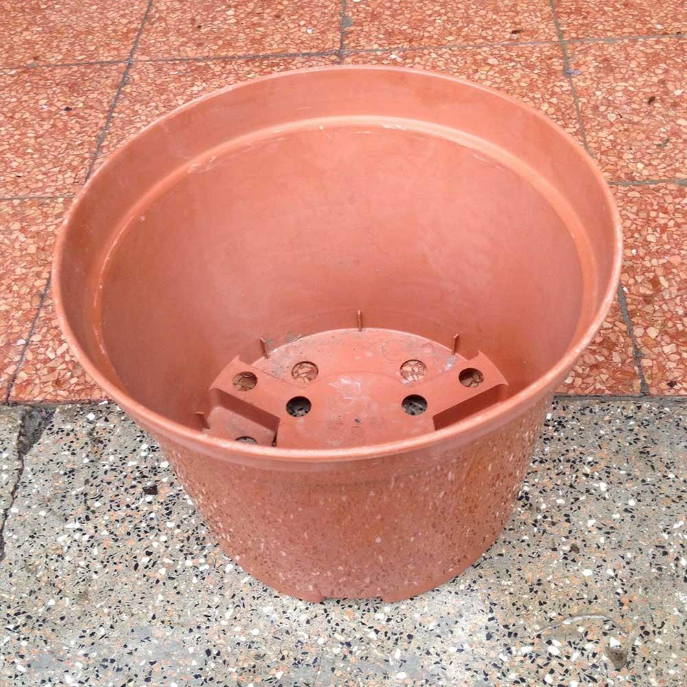 Vaso diametro 15 cm in plastica termoformato da semina-talea-vivaio -  Vivaio online Un Quadrato di Giardino