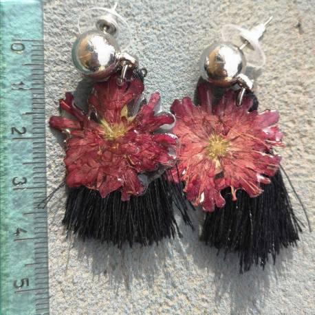 Earrings with real knautia flowers