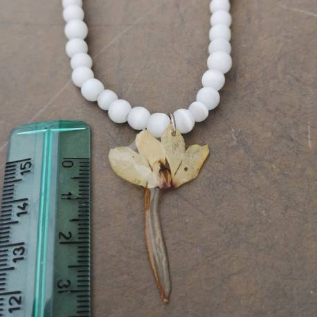 Necklace with real cyclamen flower
