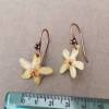 Earrings with real choysia flowers