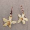 Earrings with real choysia flowers