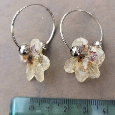 Earrings with real erodium flowers