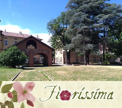 Fiorissima, Ovada, Alessandria