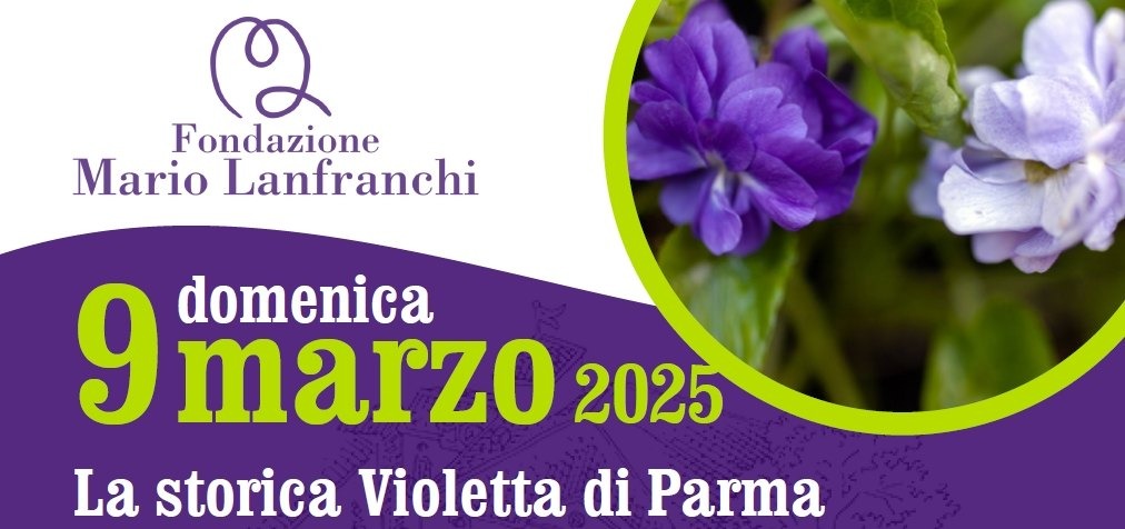 La storica “violetta di Parma”, incanti e seduzioni in villa Lanfranchi